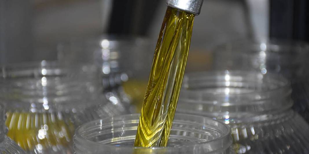 Karasal iklimde gübre ve ilaçsız üretim yapılıyor! Devlet destekledi, fabrika faaliyete geçti: Bölge halkının gelir kapısı 5